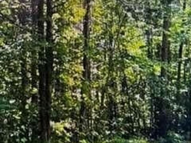 Land for sale in Loganville, Walton County