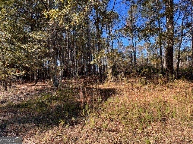 Land for sale in Loganville, Georgia