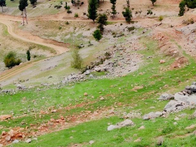 Cızlanbık, Tarsus içerisinde satılık Arsa