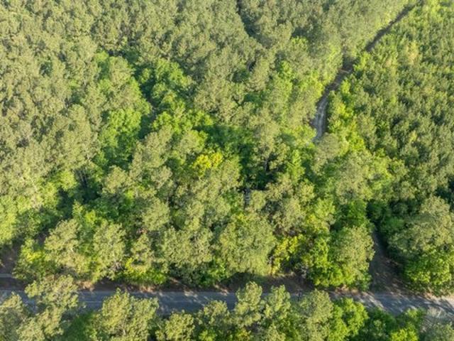 Land for sale in Andrews, South Carolina