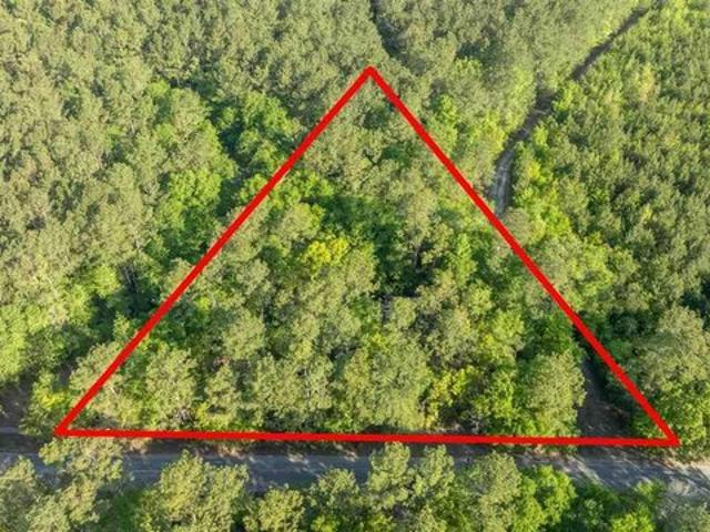 Land for sale in Andrews, South Carolina