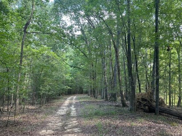 Land for sale in Haddock, Georgia