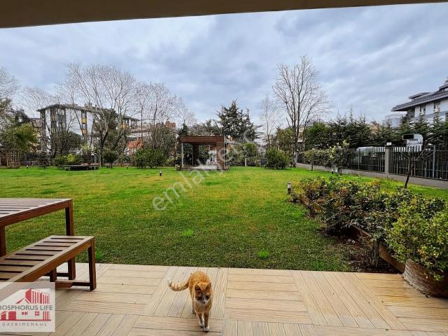 Beşiktaş, İstanbul içerisinde kiralık mülk