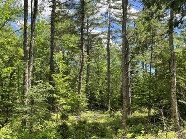 Land for sale in Etna, Maine