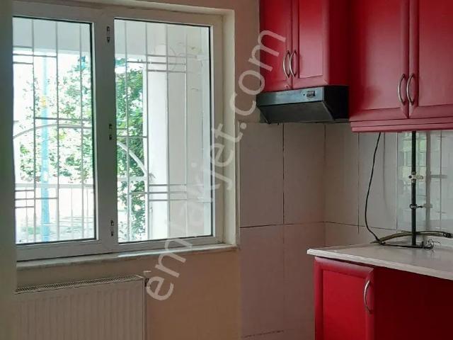 Aydin içerisinde kiralık mülk