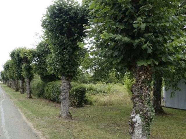 Terrain vente à Bourges, Étréchy