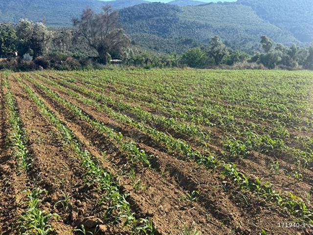 Milas, Muğla içerisinde satılık Arsa