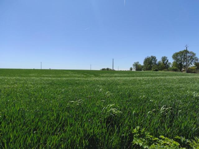 Terrain vente à Les Andelys, Etrépagny