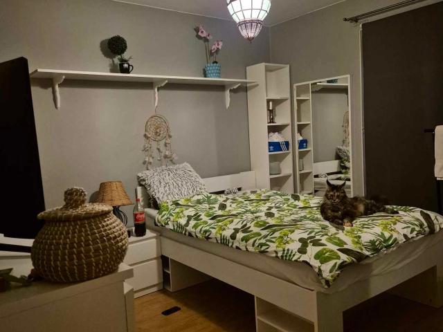 Lägenhet hyra i Helsingborg, Skåne