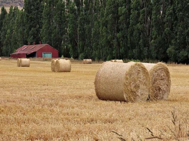 Property for sale in Otakou