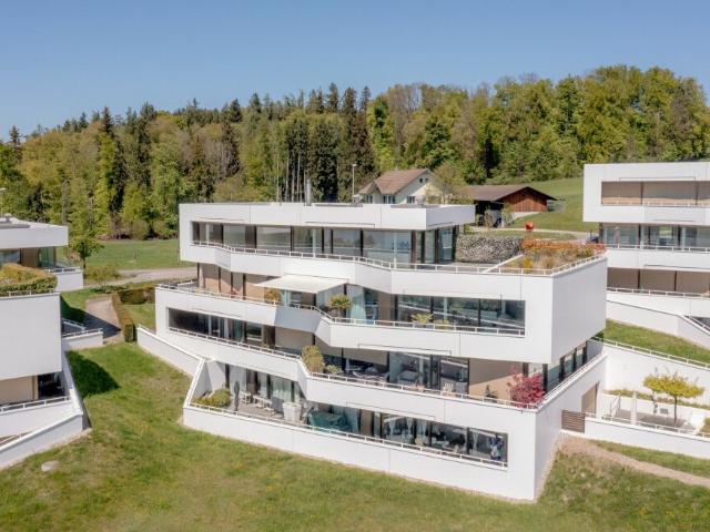 Wohnung kaufen in Uetikon am See, Zürich