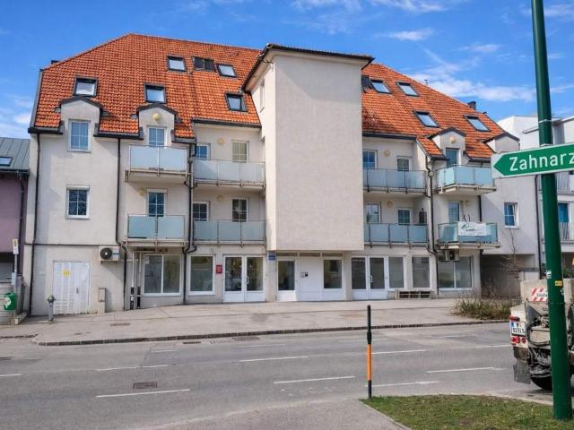 Wohnung kaufen in Mödling, Niederösterreich