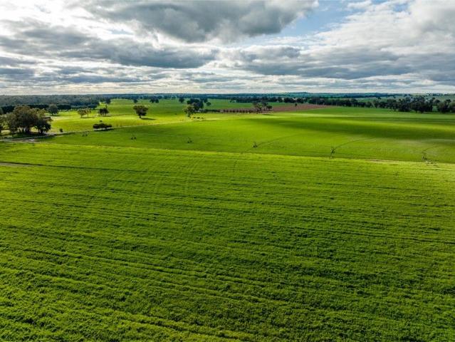 Cottage for sale in Belfrayden, New South Wales