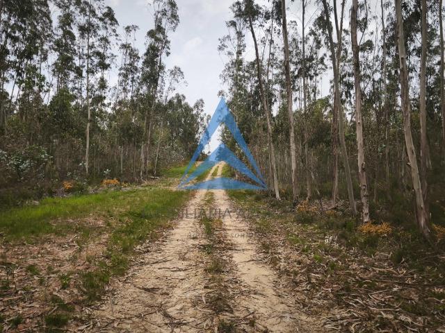 Terreno venda em Pombal, Redinha