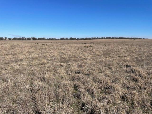 Acreage for sale in West Wyalong, New South Wales