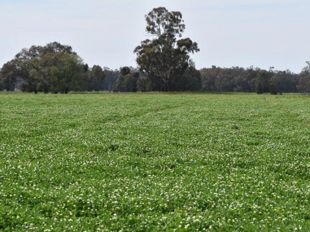 Cottage for sale in New South Wales