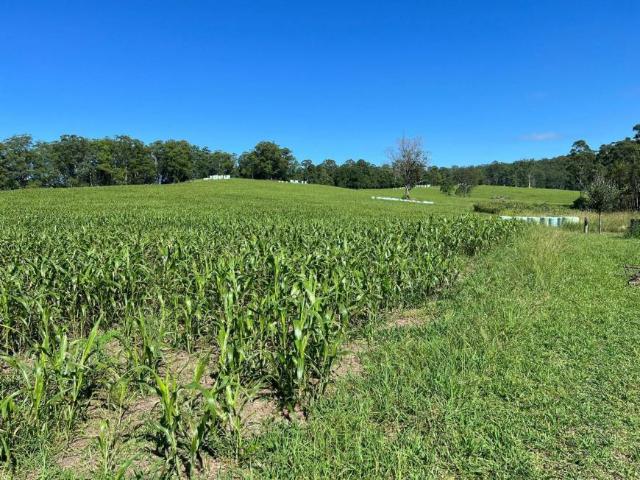 Land for sale in Allgomera, New South Wales