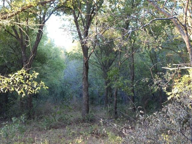 Land for sale in Nocona, Texas