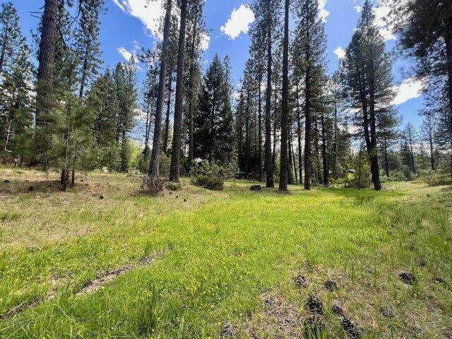 Land for sale in California