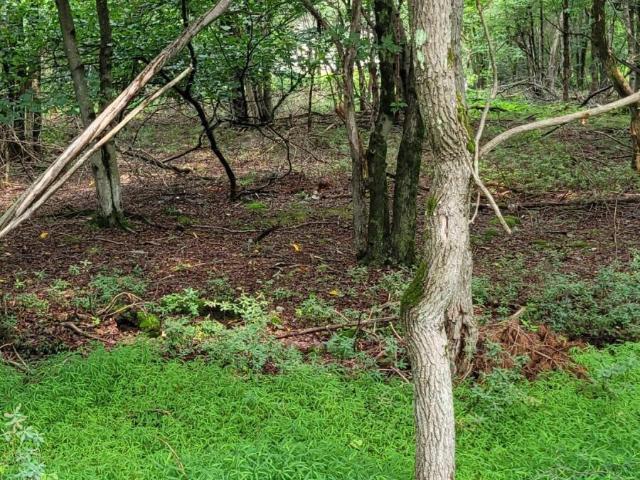Land for sale in Carbon, Pennsylvania