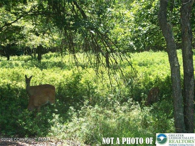 Land for sale in Penn Forest Township, Carbon County