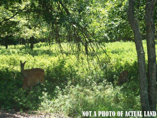 Land for sale in Albrightsville