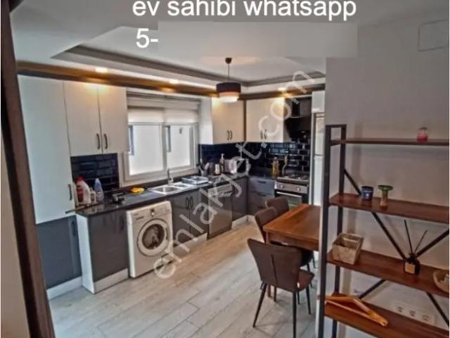 İstanbul Merkez, İstanbul içerisinde kiralık mülk