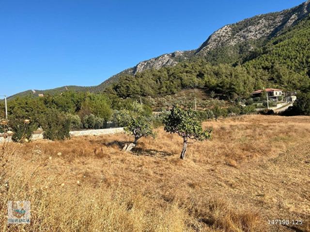 Milas, Muğla içerisinde satılık Arsa