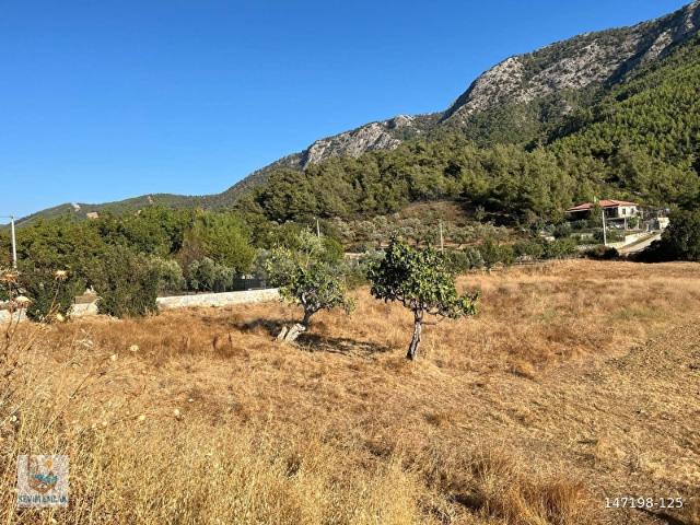 Milas, Muğla içerisinde satılık Arsa