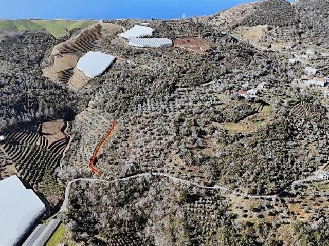 Gazipaşa, Antalya içerisinde satılık Arsa
