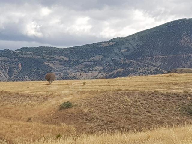 Pazaryolu, Erzurum içerisinde satılık mülk