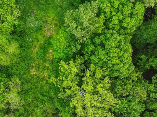 Land for sale in Aberdeen, Maryland