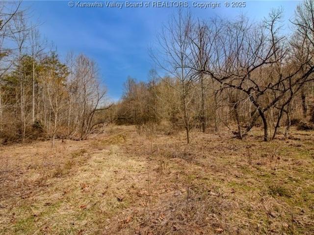 Land for sale in West Virginia