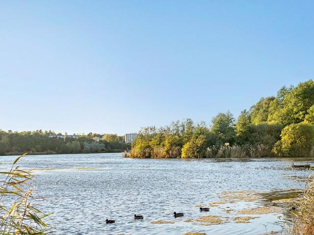 Lägenhet hyra i Solna, Stockholm