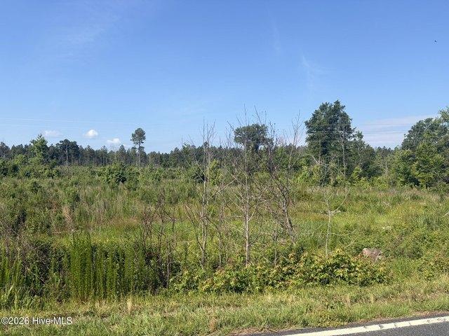 Land for sale in Ellerbe, North Carolina