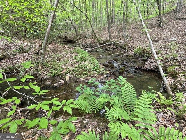 Land for sale in Armuchee, Georgia