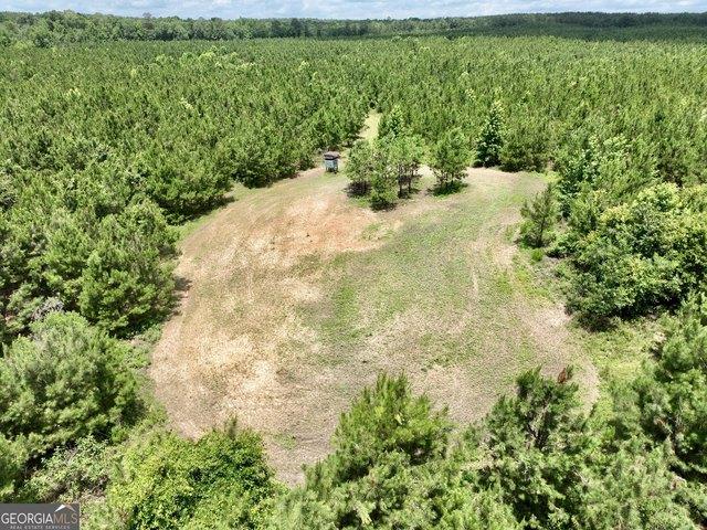 Land for sale in Ideal, Georgia
