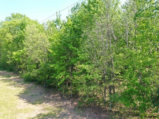 Land for sale in Saint Croix Falls, Wisconsin