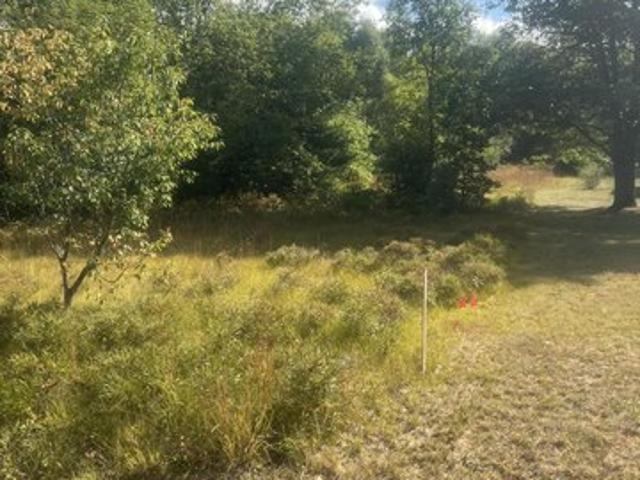 Land for sale in Brethren, Michigan