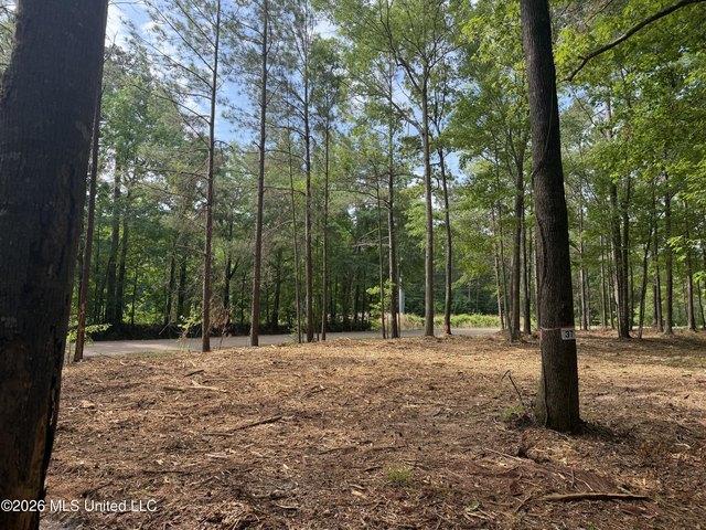 Land for sale in Brandon, Rankin County