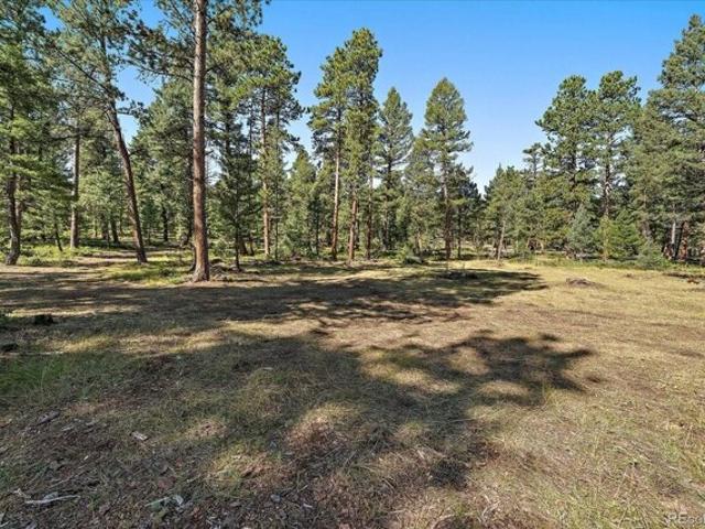 Land for sale in Conifer, Colorado
