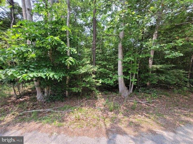 Land for sale in Virginia
