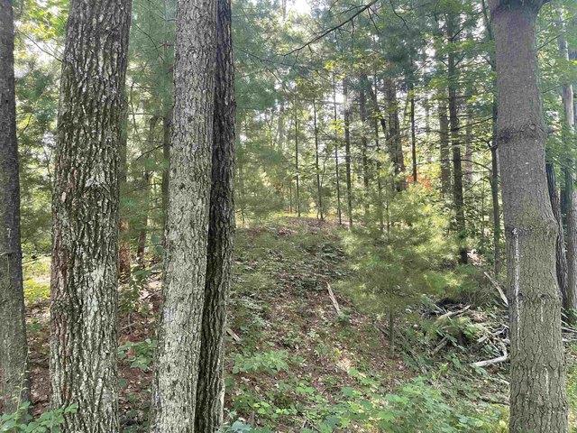 Land for sale in Wautoma, Wisconsin
