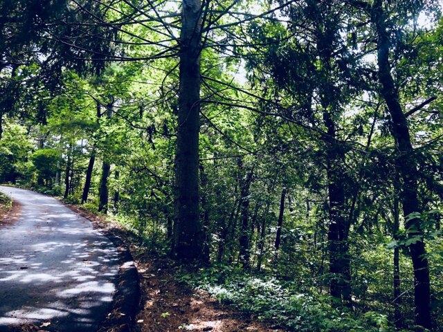 Land for sale in Chatham