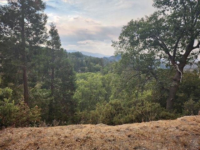 Land for sale in Cedar Glen, California