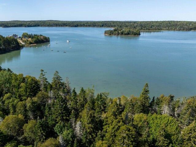 Land for sale in Jonesboro, Maine