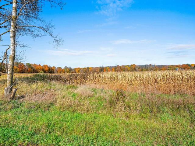 Land for sale in Town of Pella, Shawano County