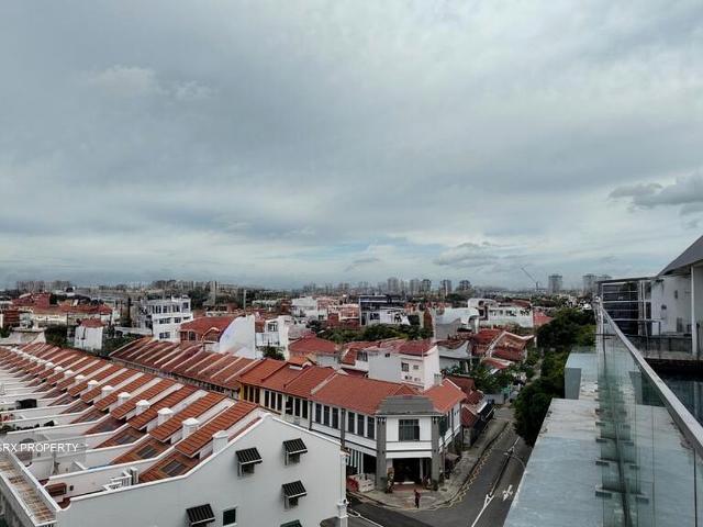 Apartment for sale in Joo Chiat