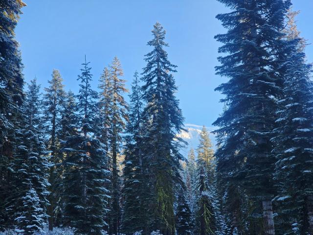 Land for sale in Mount Shasta, California