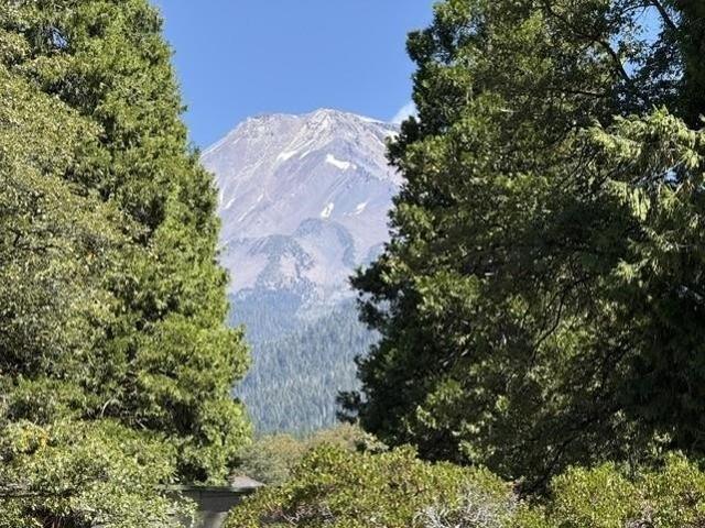 Land for sale in Mount Shasta, Siskiyou County